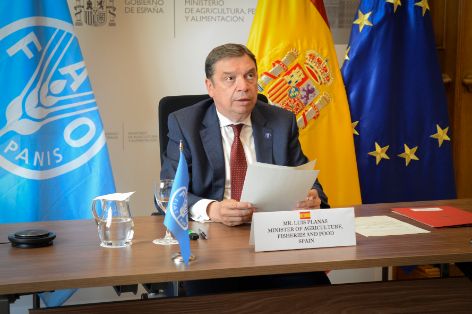 Hoy, en la 43ª Conferencia de la FAO 