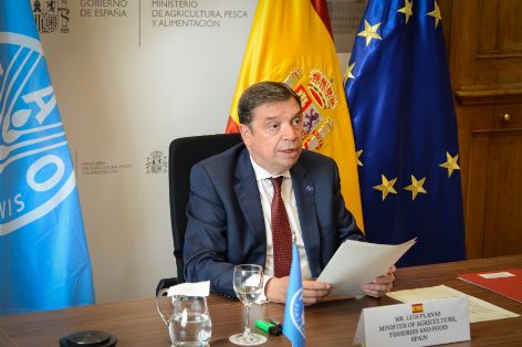 Hoy, en la 43ª Conferencia de la FAO 