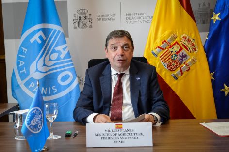 Hoy, en la 43ª Conferencia de la FAO 