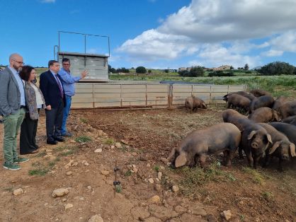 Hoy, en una visita a Mallorca 