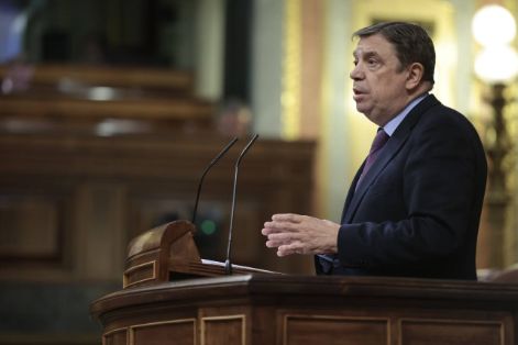 EN UNA COMPARECENCIA EN EL CONGRESO DE LOS DIPUTADOS