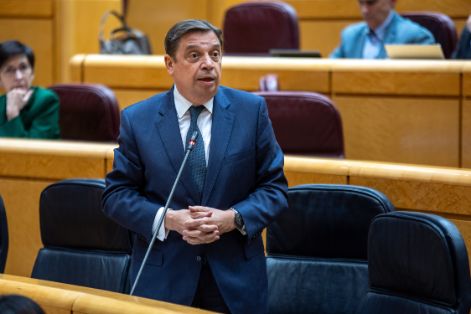 05.03.2024 Ministro SENADO