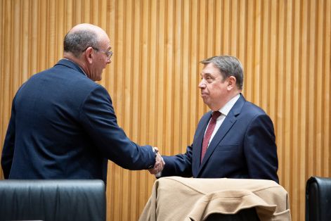 Hoy, en el Congreso de los Diputados