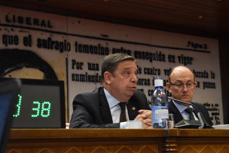 Hoy, en una comparecencia ante la comisión de Agricultura, Ganadería y Alimentación del Senado 