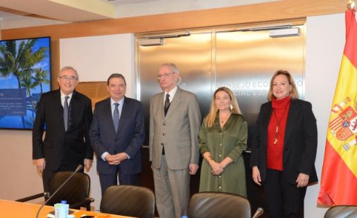 El ministro informa al Consejo Económico y Social sobre la ENA