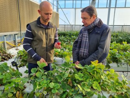 En su visita a Finca Hualdo, en El Carpio de Tajo (Toledo)