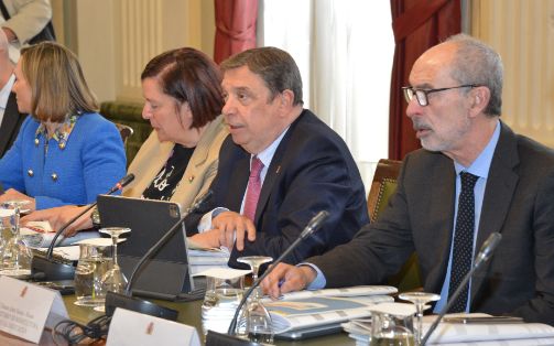 Consejos consultivos de política agraria y pesquera para asuntos comunitarios