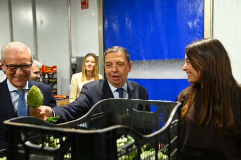 Hoy, en una visita a Mercavalencia