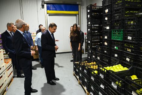 Hoy, en una visita a Mercavalencia