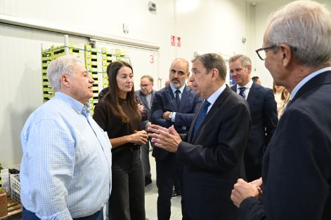 Hoy, en una visita a Mercavalencia