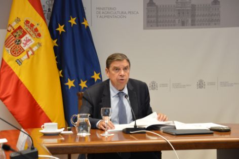 Hoy, en sesión celebrada por videoconferencia