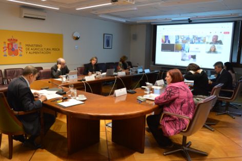 Hoy, en sesión celebrada por videoconferencia