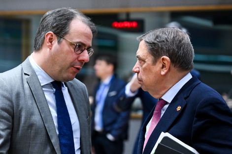 Hoy, en Bruselas, en el Consejo de Ministros de Agricultura de la UE