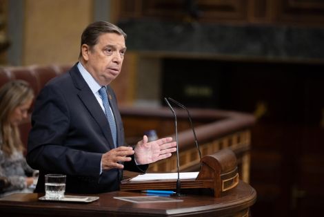 Hoy, en el Congreso de los Diputados