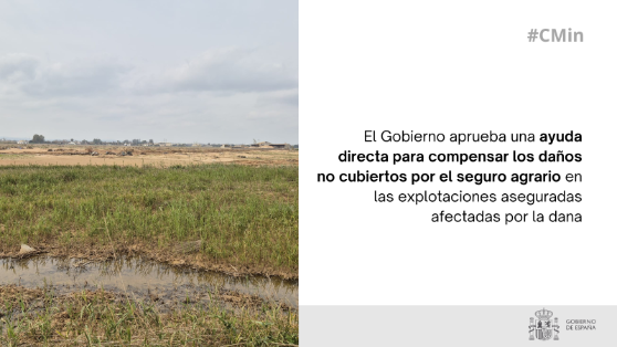 Hoy, en el Consejo de Ministros