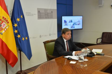 Hoy, en sesión celebrada por videoconferencia