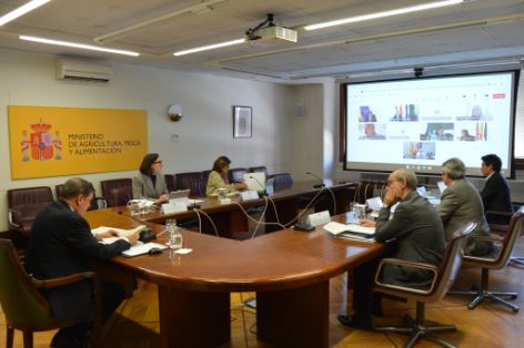 Hoy, en sesión celebrada por videoconferencia