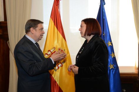 Hoy, en Consejo de Ministros 