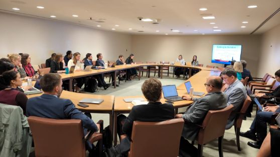 En la sede de la Organización de las Naciones Unidas (Nueva York)