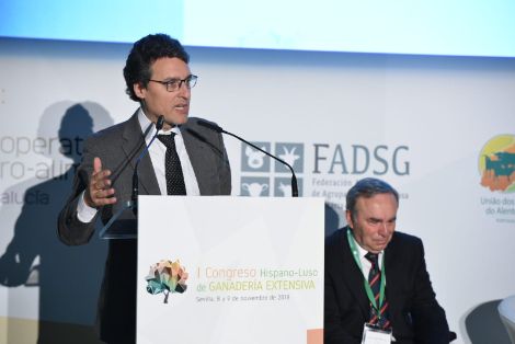 HOY, EN PABELLÓN DE LA NAVEGACIÓN EN SEVILLA 