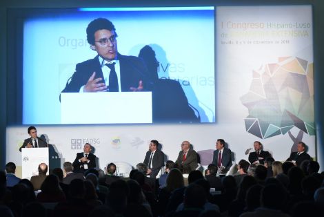 HOY, EN PABELLÓN DE LA NAVEGACIÓN EN SEVILLA 