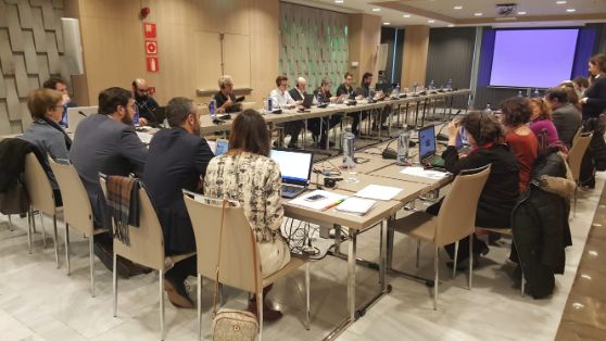 En la reunión del Comité Ejecutivo del Consejo Consultivo de la Flota Comunitaria de Larga Distancia celebrada esta mañana en Madrid