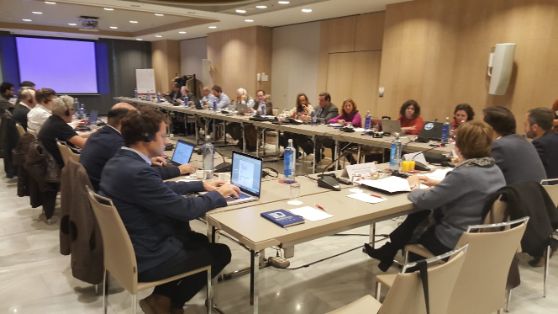 En la reunión del Comité Ejecutivo del Consejo Consultivo de la Flota Comunitaria de Larga Distancia celebrada esta mañana en Madrid