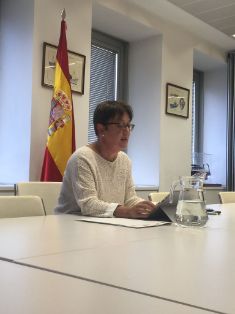 Hoy, en una reunión por videoconferencia    