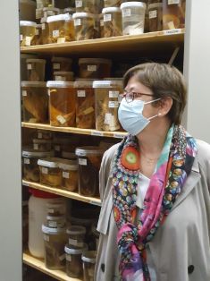 Hoy en una visita a Barcelona y Roses