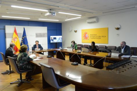 Hoy se ha celebrado el Consejo Consultivo informativo