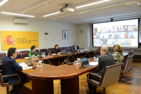 Hoy se ha celebrado el Consejo Consultivo informativo