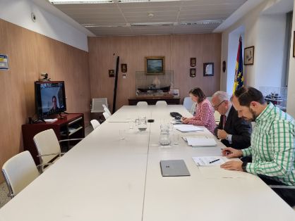 EN LA REUNIÓN DEL COMITÉ EJECUTIVO DEL CONSEJO CONSULTIVO DE LOS MERCADOS DE LA UE, CELEBRADO POR VIDEOCONFERENCIA 