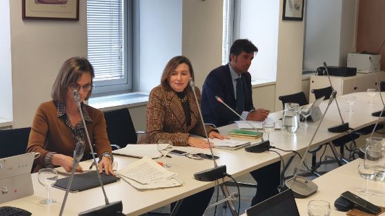 En una reunión celebrada hoy en Madrid 