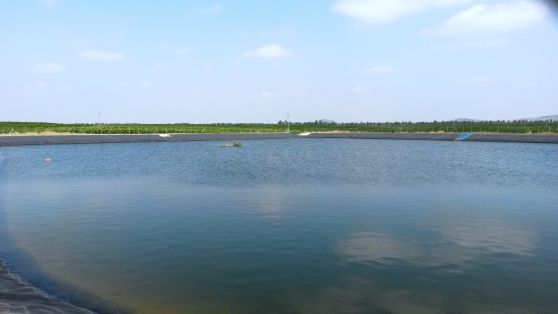 A través de la Sociedad Mercantil Estatal de Infraestructuras Agrarias (SEIASA),