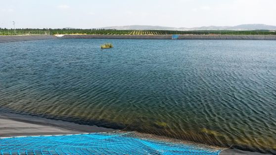 A través de la Sociedad Mercantil Estatal de Infraestructuras Agrarias (SEIASA),