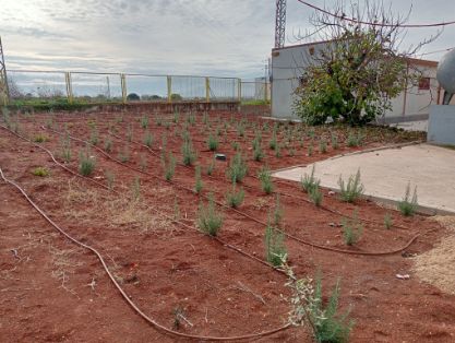 Con una inversión de 1,6 millones de euros