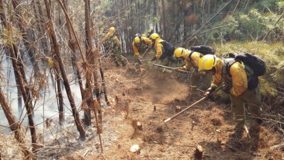 En apoyo de las Comunidades Autónomas de Extremadura y Andalucía 