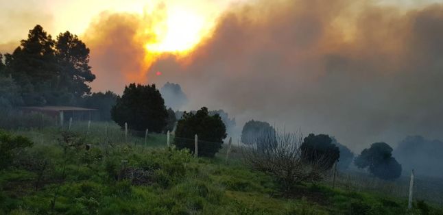 Desde primeras horas de la mañana 