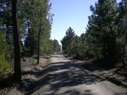 Los trabajos han sido dirigidos y financiados por el Ministerio de Agricultura, Pesca y Alimentación, dentro del Programa de Caminos Naturales 