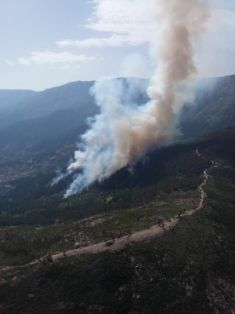 Para apoyar a las Comunidades Autónomas de Castilla y León, Castilla - La Mancha,  Cataluña, Aragón, Madrid, Murcia y Navarra     