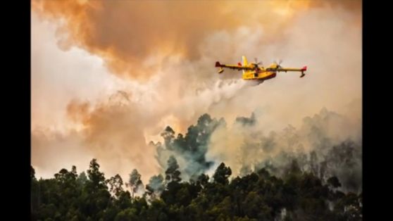 En apoyo de la Comunidad Autónoma de Canarias 