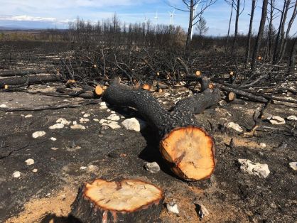 EL INCENDIO OCURRIÓ EN AGOSTO DE 2017 
