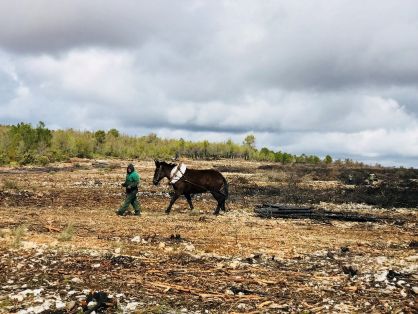 EL INCENDIO OCURRIÓ EN AGOSTO DE 2017 