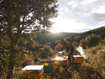 En el Comité Científico Asesor del SIPAM 