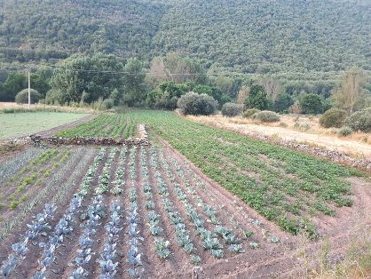 En el Comité Científico Asesor del SIPAM 