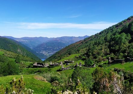 En el Comité Científico Asesor del SIPAM 