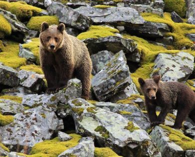 En el Comité Científico Asesor del SIPAM 