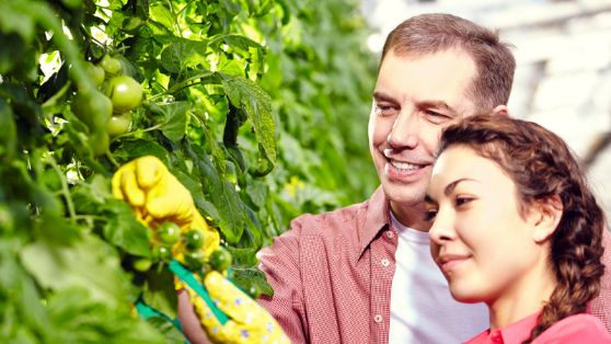 Publicada la resolución definitiva en la página web del ministerio