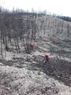 MAÑANA SE CELEBRA EL DÍA MUNDIAL DE LUCHA CONTRA LA DESERTIFICACIÓN