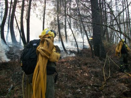 PARA COLABORAR CON LAS COMUNIDADES AUTÓNOMAS DE CATALUÑA, CASTILLA Y LEÓN, CASTILLA-LA MANCHA Y ARAGÓN 
